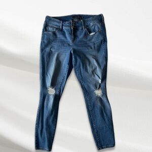 Torrid Blue Jean Distressed Jeggings